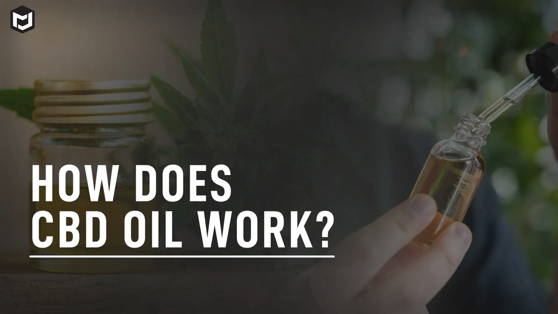 How Does CBD Oil Work?